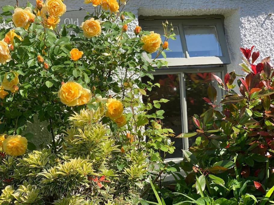 The Old Post Office, Cosy Grade II Listed 2 Bed Apartment Windermere Εξωτερικό φωτογραφία